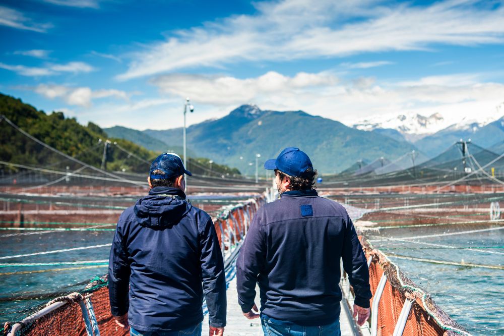 BHV revolutionises aquaculture with its innovative technology